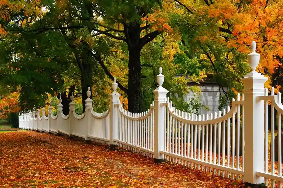 How A Fence Contractor Can Ensure A Quality Wood Fencing Job St Cloud, FL How A Fence Contractor Can Ensure A Quality Wood Fencing Job St Cloud, FL