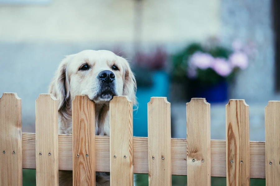Superior Wood Fencing St Cloud, FL Superior Wood Fencing St Cloud, FL